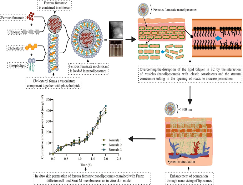 Graphical Abstract